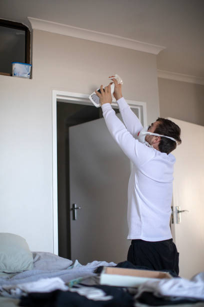 Best Emergency Mold Remediation  in Hyattsville, MD
