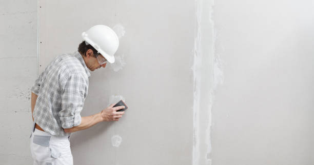 Hyattsville, MD Mold Removal Company