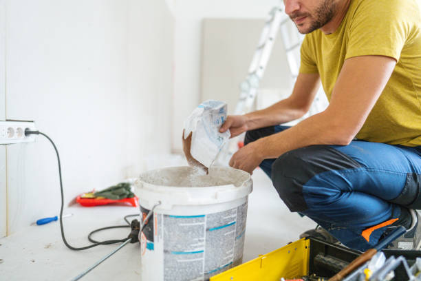 Best Real Estate Mold Inspection  in Hyattsville, MD