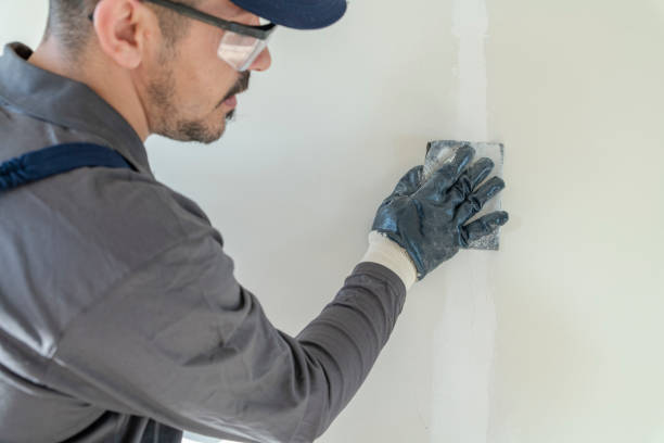 Best Forensic Mold Investigation  in Hyattsville, MD
