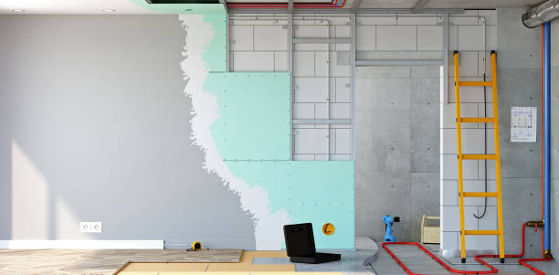 Best HVAC Mold Inspection and Cleaning  in Hyattsville, MD