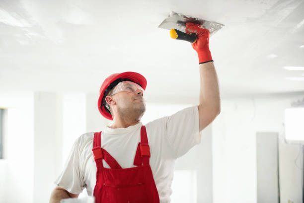 Best Basement Mold Removal  in Hyattsville, MD