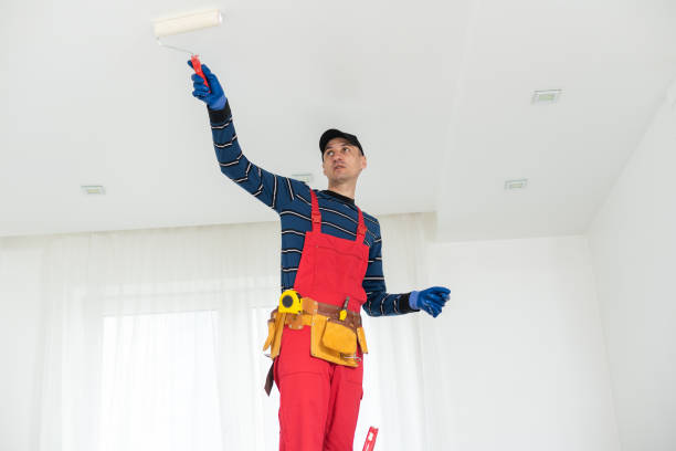 Best Basement Mold Removal  in Hyattsville, MD