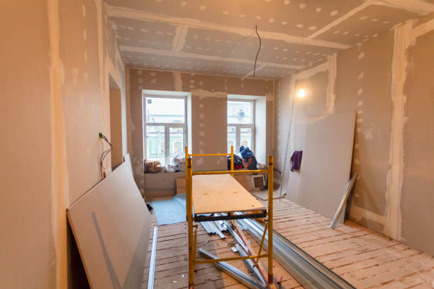 Best Industrial Mold Remediation  in Hyattsville, MD