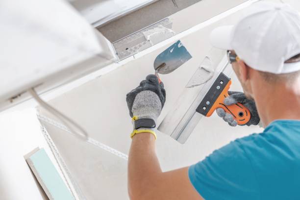 Best Comprehensive Air Testing for Mold Contaminants  in Hyattsville, MD